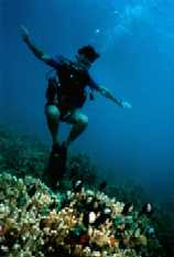 What's that thing down there?